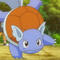 Untitled wartortle